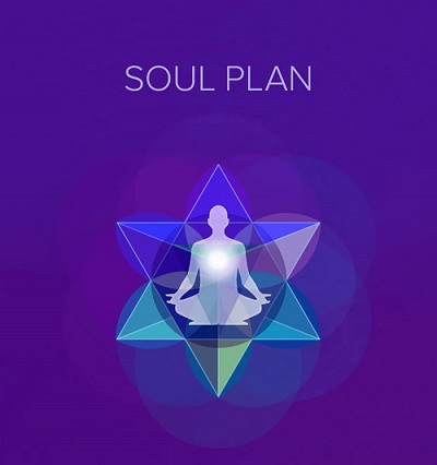 Soul plan book